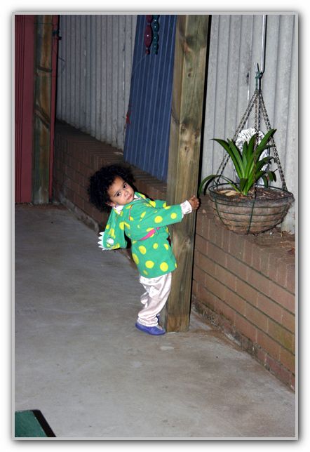Ebs holding up fence